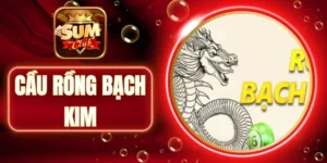 cầu rồng bạch kim