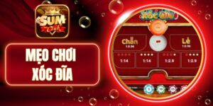 Thành thạo quy tắc và kỹ năng đặt cược trong xóc đĩa