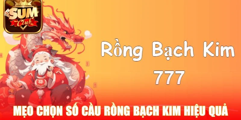 Mẹo chọn số cầu rồng bạch kim hiệu quả