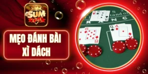 Tích lũy kinh nghiệm qua nhiều ván Xì Dách thực tế