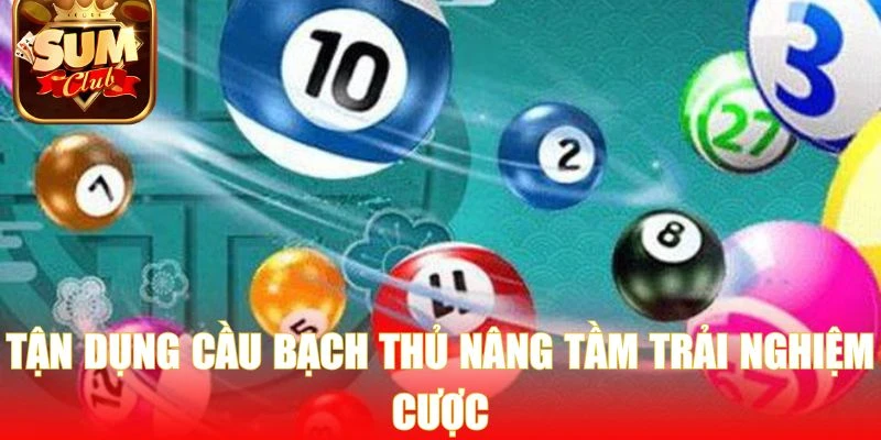Tận dụng cầu bạch thủ nâng tầm trải nghiệm cược